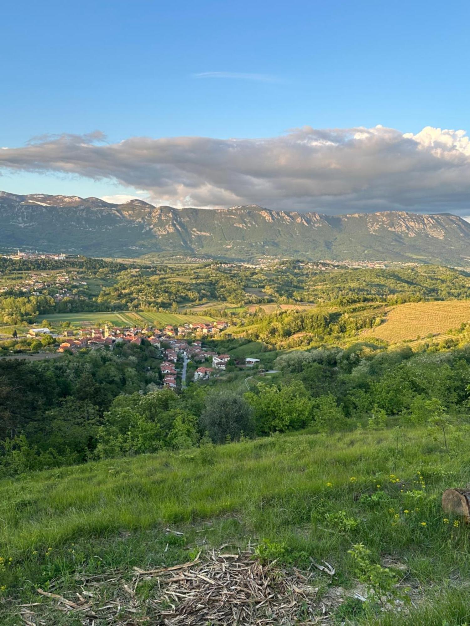 Apartma Anze Samec Dobravlje Zewnętrze zdjęcie